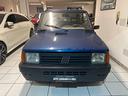 fiat-panda-900-i-e-cat-young