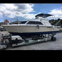 Chris Craft 25 express