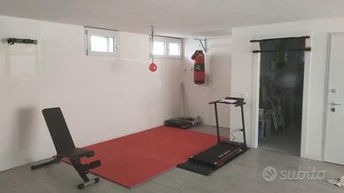 panca da palestra reclinabile