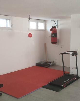 panca da palestra reclinabile