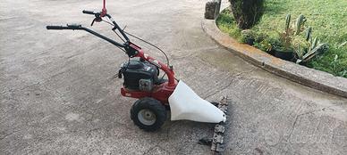 MOTOFALCIATRICE EUROSYSTEMS M210 B&S 625 150cc