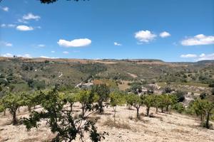 Terreno con caseggiati