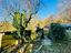 Immagine 14