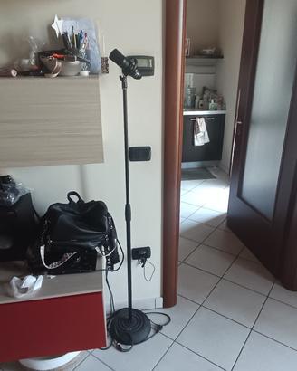 asta con microfono professionale 
