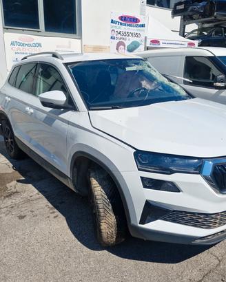 Ricambi Skoda Karoq 1° 2.0 TDI del 2024 DTT