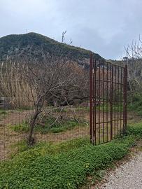 Terreno agricolo