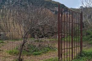 Terreno agricolo