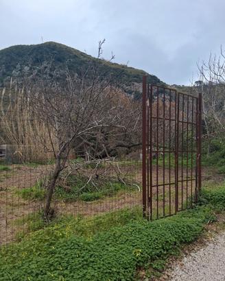 Terreno agricolo