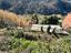Immagine 27