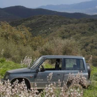 Suzuki vitara off road