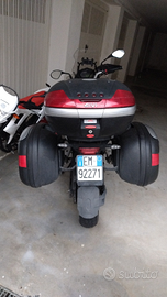 Benelli Trk 502 del 2019