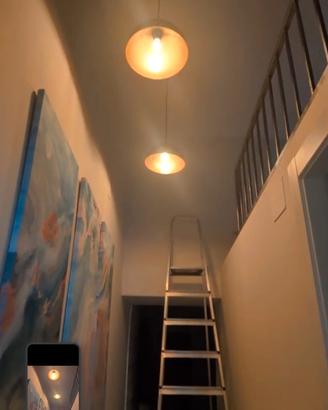 Coppia di lampadario nero opaco