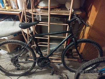 bici uomo donna bambino 