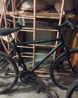 bici uomo donna bambino 