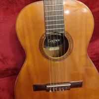chitarra Giannini  AWN 50   ser 5/1973..