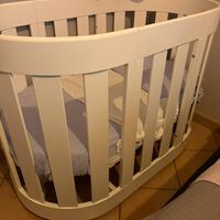 Culla ovale evolutiva