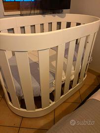 Culla ovale evolutiva