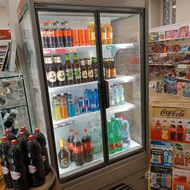 frigo costan Epta anno 2021 come nuovo 