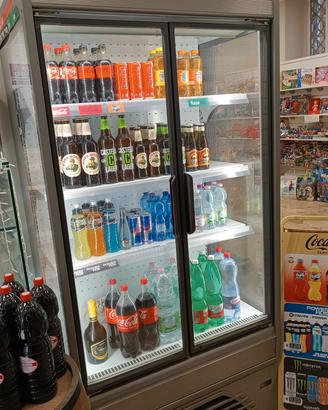 frigo costan Epta anno 2021 come nuovo 