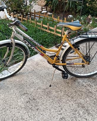 Bicicletta unisex 21