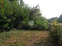 ter-agricolo-a-druento