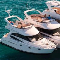 Meridian 341 del 2008