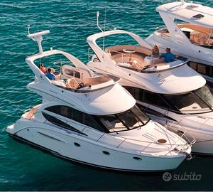 Meridian 341 del 2008