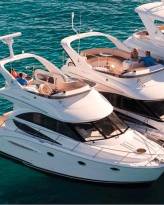 Meridian 341 del 2008