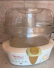 Vaporiera Mulinex Exotic elettrica