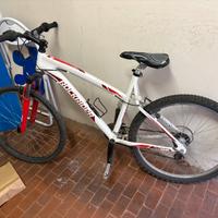 bicicletta da ragazzo