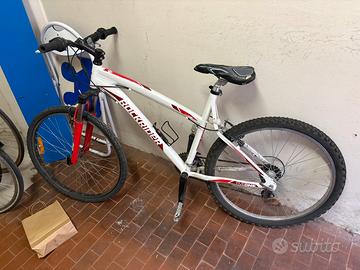 bicicletta da ragazzo