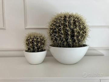 Cactus Artificiali Sia Decor