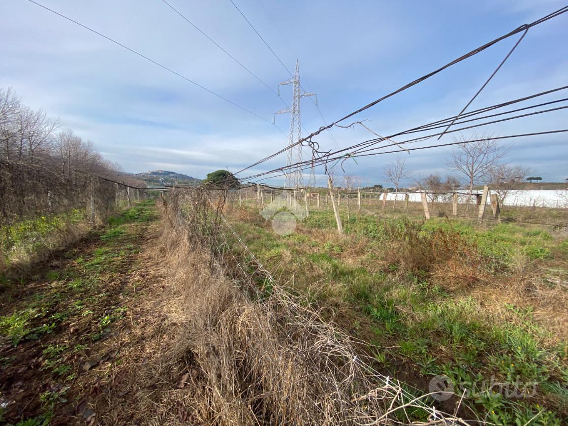 TER. AGRICOLO A SAN CESAREO - Vista 2