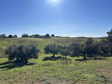 Terreno di 97000 m² a Tuscania
