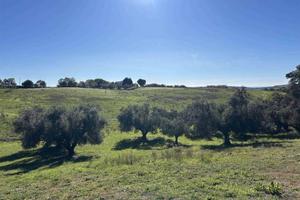 Terreno di 97000 m² a Tuscania