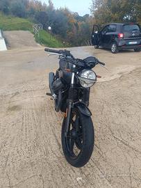 Guzzi V7 Stone 850
