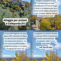 Assistenza anziani