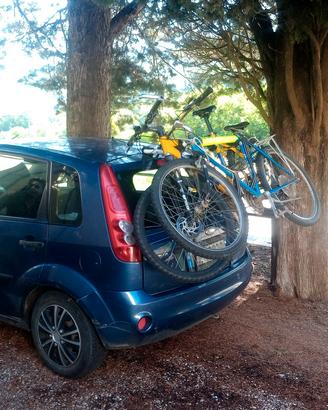 Ford Fiesta 1.4 TDCi 2006 