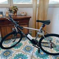 Mountain Bike De Rosa Pozzuoli anni 90