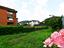 Immagine 19