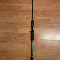 Canna casting Abu Garcia Beast X