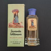Lavanda Coldinava -Brillantina liquida