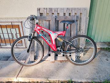 bicicletta 