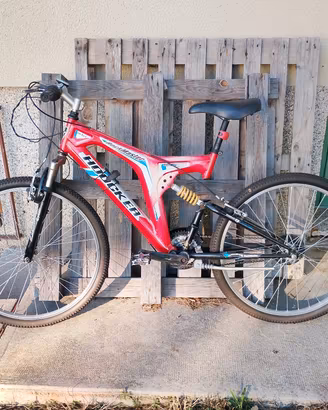 bicicletta 