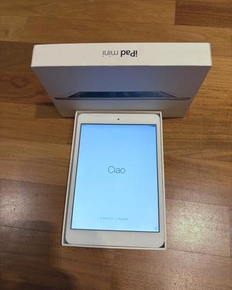 IPad mini Wi-Fi Cellular 16GB nessun difetto