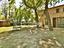 Immagine 11