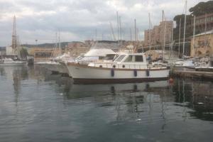 Sciallino 33 del 1988