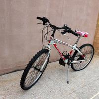 Bicicletta record