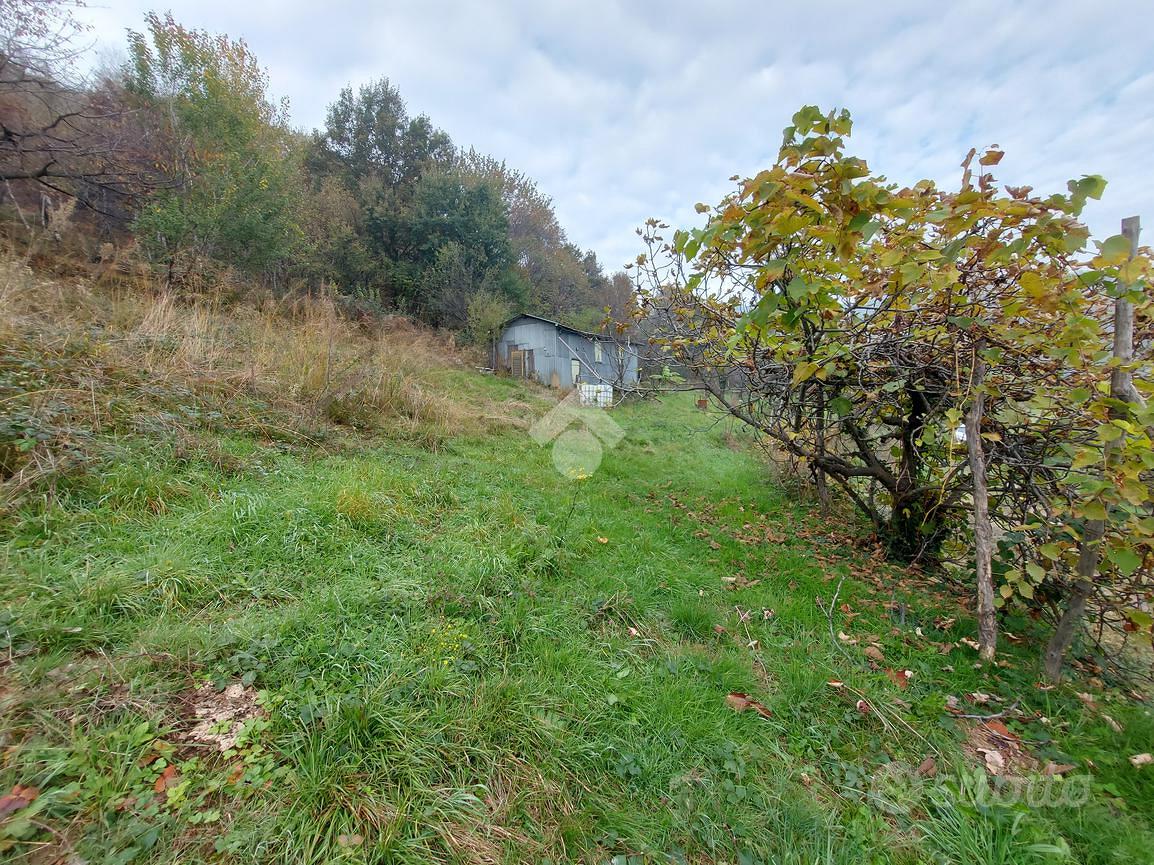 TER. AGRICOLO A CUMIANA - Vista 4