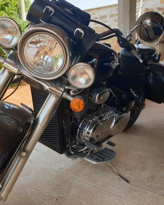  suzuki intruder 800 perfetta. 